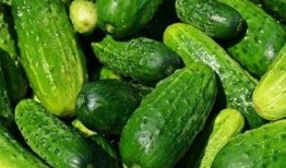 横栏吃瓜,揭秘娱乐圈的甜蜜与苦涩