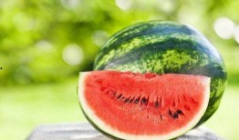 牧南吃瓜下载,揭秘娱乐圈幕后故事