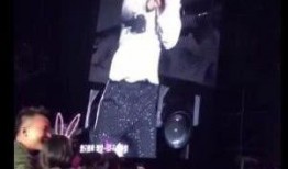 演唱会吃瓜群众,吃瓜群众的狂欢盛宴