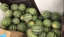 五一吃瓜在线今日吃瓜视频,今日热门视频盘点