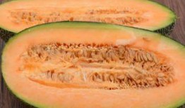 吃哈密瓜自拍,哈密瓜映衬下的甜蜜自拍瞬间