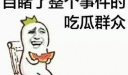 《吃瓜小云》,揭秘娱乐圈幕后故事