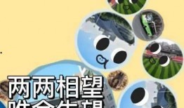 小海来了带你吃瓜,小海来了带你领略瓜界盛宴