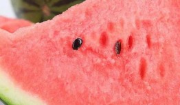 泗水吃瓜事件,一场引发社会热议的网络风波