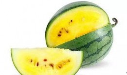 在哪里吃瓜最好,揭秘全国瓜果美食地图