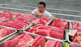 沧州学校吃瓜,揭秘校园食品安全背后的真相