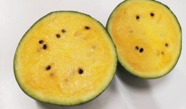 未世囤货吃瓜,吃瓜群众如何应对危机四伏的生存挑战