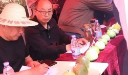 济宁菏泽吃瓜,品味地方特色，畅享清凉一夏