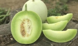 玉瓜可以过年吃吗吗,传统美食过大年的必备佳品