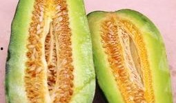 有名的吃瓜,吃瓜群众揭秘明星幕后故事