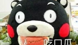 听歌看剧吃瓜,听歌、看剧、吃瓜一网打尽