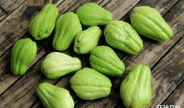 小瓜能和猪肉一起吃吗,健康美味两不误