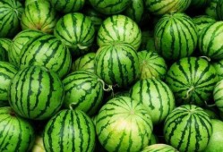 吃的还有啥瓜,探寻美食中的“瓜”世界