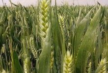 仓炫吃瓜,揭秘娱乐圈幕后故事