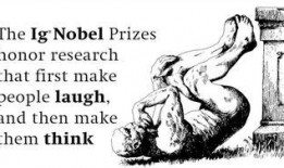 本是吃瓜怎么主角,一场意外的娱乐圈风云