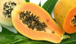 有胃病可以吃羊角瓜吗