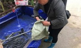 自驾游吃瓜群众,一路欢声笑语，共享美食时光