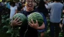 青州吃瓜学校事件,校园食品安全问题引发社会关注