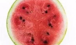 吃瓜科学是谁,网络热词背后的科学奥秘