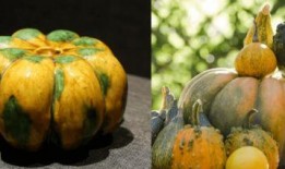 穿越吃瓜文,揭秘古代宫廷秘闻