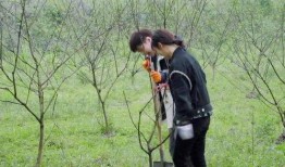 多人吃瓜头像男,多人吃瓜头像男生，揭秘校园生活趣味瞬间