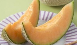 星期可以吃哈密瓜吗,哈密瓜的适宜食用日历