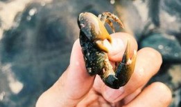 海角真实吃瓜,揭秘真实吃瓜背后的故事