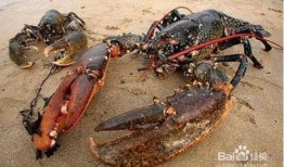 福建渔民前排吃瓜,见证海上丰收盛景