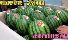 仓炫吃瓜,揭秘娱乐圈幕后故事