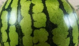 演出后续吃瓜,幕后瓜料大揭秘！