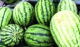 瓜太甜可以吃吗