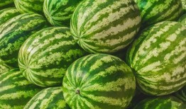 月里吃瓜,揭秘中秋佳节里的传统美食文化