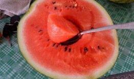 网友是怎么吃瓜的,揭秘网络热议背后的趣味与真相