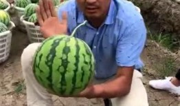 黑科吃瓜安装,揭秘校园热点事件背后的真相与笑料