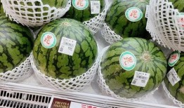 众华夏神仙吃瓜,共赏人间吃瓜盛况